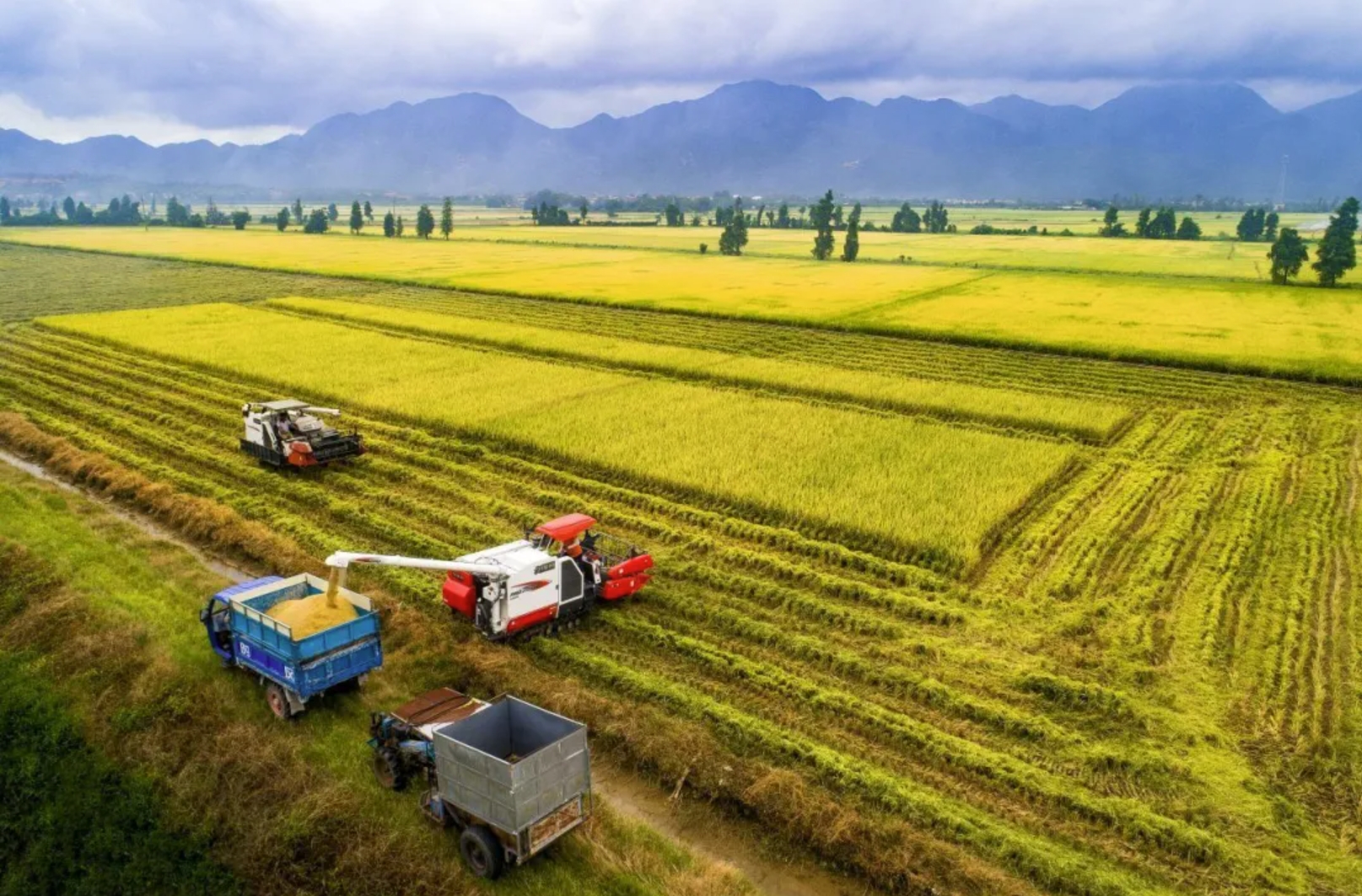 尊龙凯时·(中国)官方网站