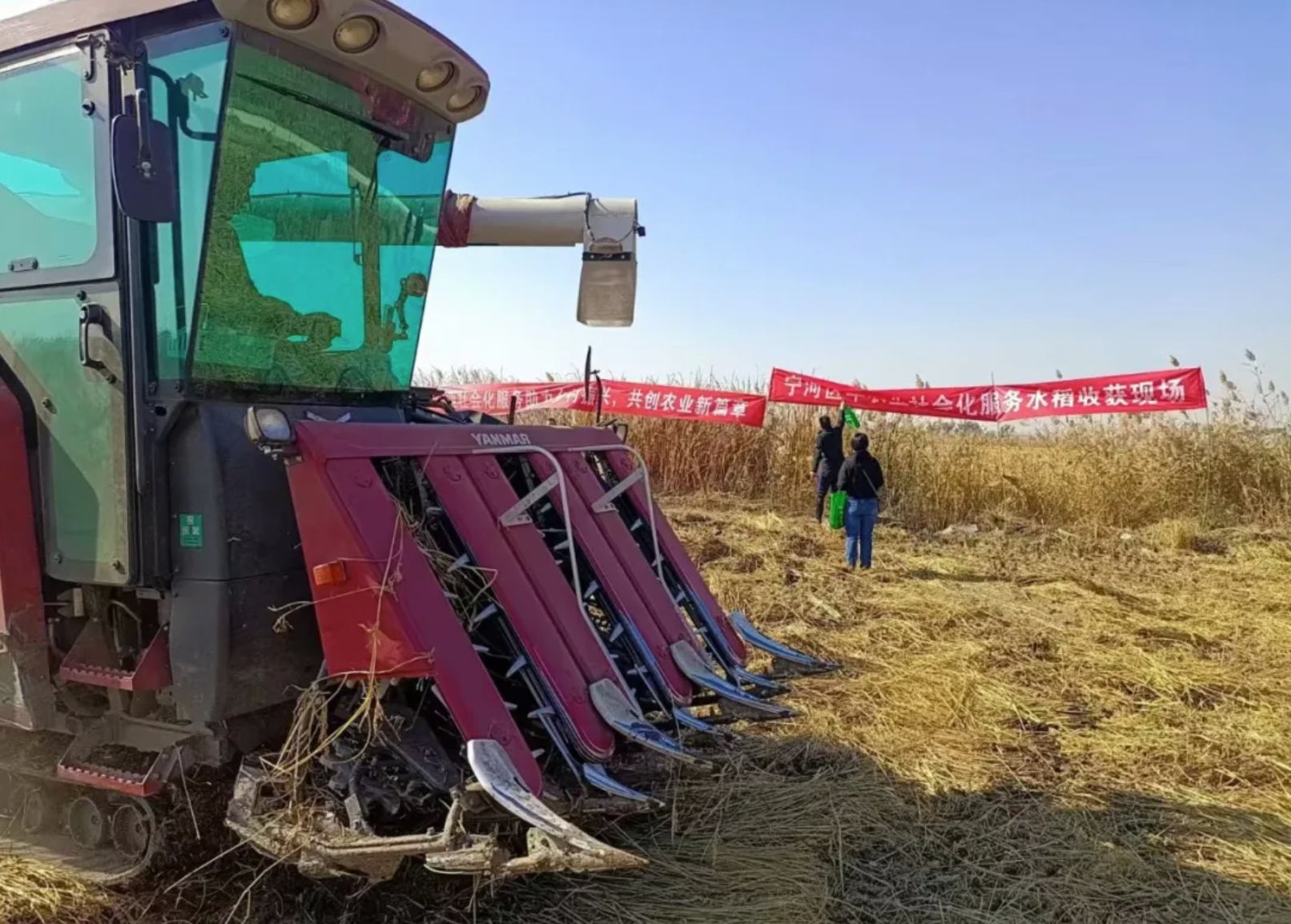 尊龙凯时·(中国)官方网站